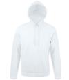 47101 Unisex Snake Hooded Sweatshirt Ash colour image